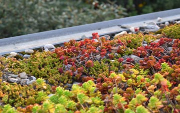 the cost of Meadowmill green roof installation