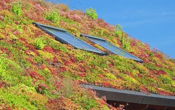 Meadowmill living roof systems